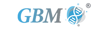 Gene Bio Medical